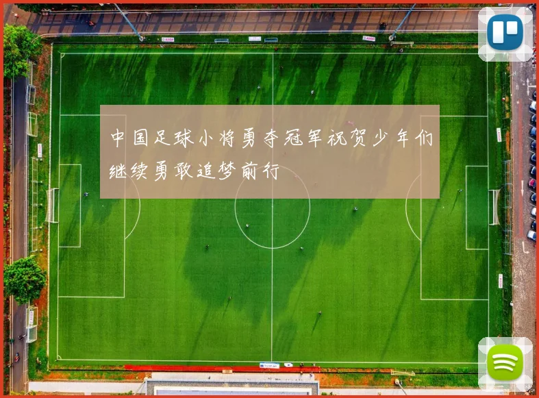 中国足球小将勇夺冠军祝贺少年们继续勇敢追梦前行