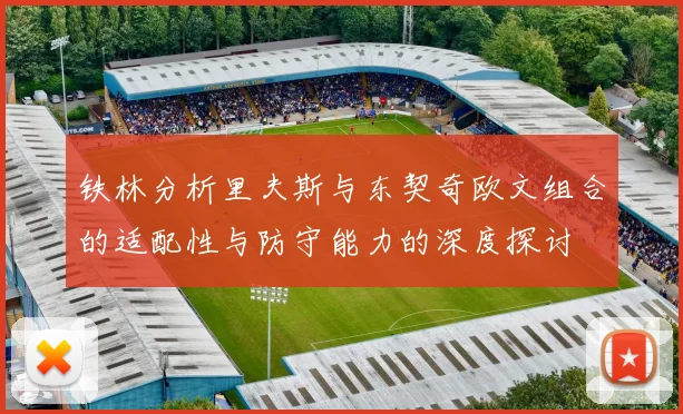 铁林分析里夫斯与东契奇欧文组合的适配性与防守能力的深度探讨