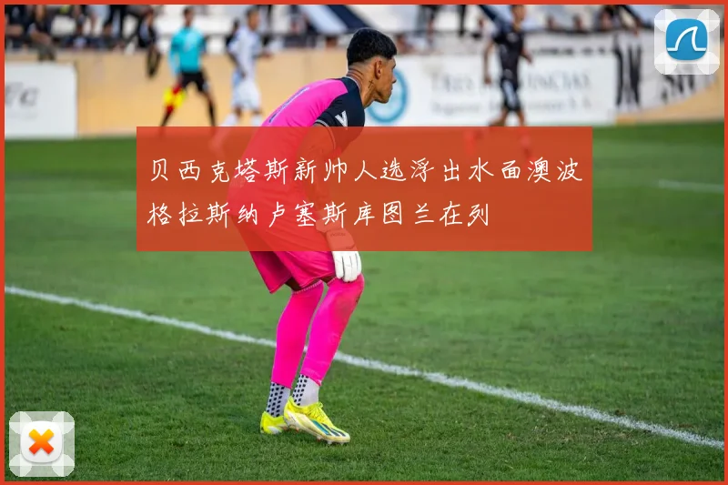 贝西克塔斯新帅人选浮出水面澳波格拉斯纳卢塞斯库图兰在列